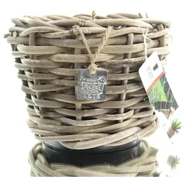 Van der Leeden DRYPOT® Rattan Pflanzgefäß Grau Ø ca. 20 cm - Sylter Körbe