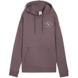 Puma Fleece Hoodie Raisin L