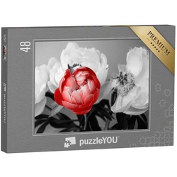 puzzleYOU Puzzle Rote Pfingstrose vor schwarz-weißem Hintergrund, 48 Puzzleteile, puzzleYOU-Kollektionen Fotokunst