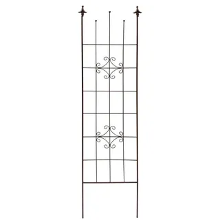 Trendline Rankgitter 41,5 x 180cm braun