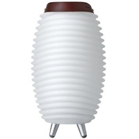 Kooduu Synergy 35 Tragbare Lautsprecherlampe mit Weinkühler - Dimmbares LED-Licht, drahtloser Bluetooth-Lautsprecher und Weinflaschenhalter - Innen- und Außendekoration, klein
