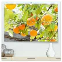 Calvendo Emotionale Momente: Orangen & Zitronen. (hochwertiger Premium Wandkalender 2026 DIN A2 quer), Kunstdruck in Hochglanz: Ingo Gerlach hat tolle Bilder ... Süßsauer für die Küche. (CALVENDO Lifestyle)