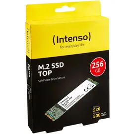 Intenso Top Performance 256 GB M.2