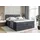 altdecor Boxspringbett CATOR KING - 160x200 - H3/H4 - Dunkelgrau