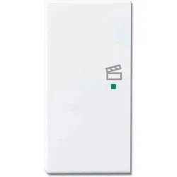 Busch-Jaeger Wippe 2-f li Symbol Szene 6233-21-84