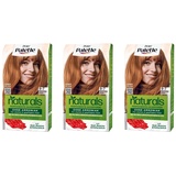 3x Poly Palette naturals 9-7 Natürliches Kupfer EAN4015100744392