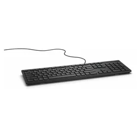 Dell KB216 Multimedia Keyboard RU schwarz (580-ADGR)
