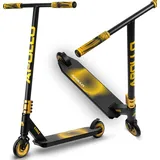 Apollo Eagle Schwarz/Gold