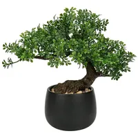 luxuskollektion Kunstpflanze Bonsai Baum Podocarpus Schwarz-1 25cm Aesthetic Deko