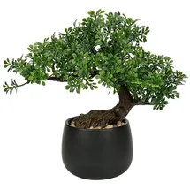 luxuskollektion Kunstpflanze Bonsai Baum Podocarpus Schwarz-1 25cm Aesthetic Deko