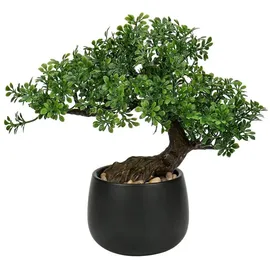 luxuskollektion Kunstpflanze Bonsai Baum Podocarpus Schwarz-1 25cm Aesthetic Deko