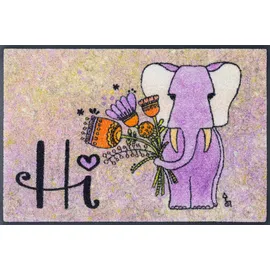Wash+Dry Lucky Elephant 50 x 75 cm Bunt