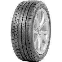 Davanti Wintoura+ 215/55R18 99V