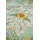 Pip Studio Bettwäsche Saluti Piccoli Green Perkal Blüten Ornamente Blumen Wendeoptik Geblümt Gestreift Floral, Größe:135 cm x 200 cm