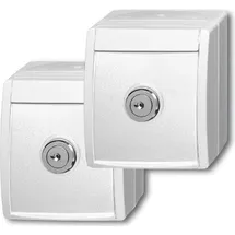 Busch-Jaeger Schuko-Steckdose 20/20 EWSL-54 Weiß 2 St.