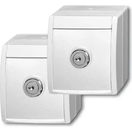 Busch-Jaeger Schuko-Steckdose 20/20 EWSL-54 Weiß 2 St.
