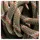 Mammut Alpine Classic Halbseil Beige