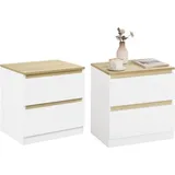 Woltu Nachttisch mit 2 Schubladen Rechteckig, 40x41x29.7 cm, Schlafzimmer, Nachttische