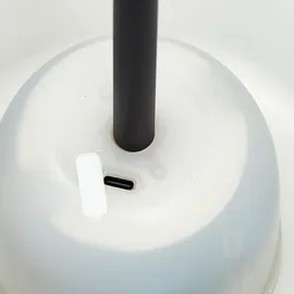 Brilliant Außenstandleuchte LED 129,5 cm inkl. fest eingebauter 4 W LED schwarz