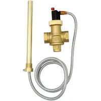 CALEFFI Thermische Ablaufsicherung 3/4 Zoll Heizungsventil