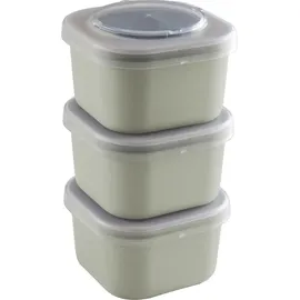 SUNWARE Lunchbox Sigma Home 3er-Set grün
