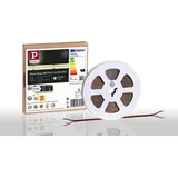 Paulmann LED Strip Silver P150 COB 865 5m 65W 1400lm/m 528LEDs/m 6500K