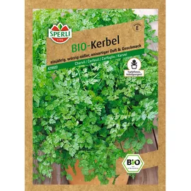 Sperli Kölle Bio Saatgut Kerbel Fijne Krul', grün