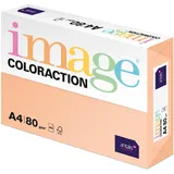 Antalis Image Coloraction Savana - farbiges Kopierpapier - DIN A4, 210 x 297 mm, 80 g/m2 - buntes, holzfreies Druckerpapier für Kopierer - 500 Blatt - Salm