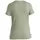 Icebreaker Merino 150 Tech Lite Iii Kurzarm-t-shirt - Lichen - L