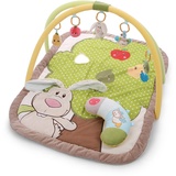NICI Activity Decke