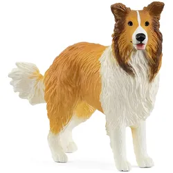 Schleich FARM WORLD Collie, 3 Jahr(e), Mehrfarbig