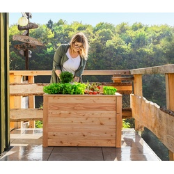 Tchibo - Hochbeet - 100x65x66cm - naturfarben - Holz / Polyethylen