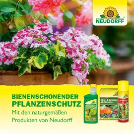 NEUDORFF Xentari Raupenfrei Insektizid 25 g