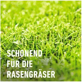 Compo Rasenunkraut-Vernichter Perfekt Konzentrat 200 ml