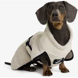 Bigfoot Dog Jacket Hund Peyote, Größe:50 - Accessoires > Hund - Beige