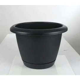 Prosperplast Respana Basic 39 x 27 cm Schwarz