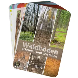 Bestimmungsfächer – Waldböden erkennen und verstehen
