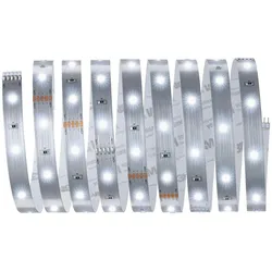 Paulmann MaxLED 250 LED Strip Tageslichtweiß Einzelstripe  2,5m   10W 300lm/m  6500K  79858