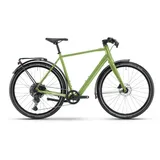 Winora E-Flitzer shamrock gloss 42