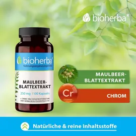 Bioherba Maulbeerblattextrakt 250 mg 60 st