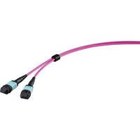 Renkforce Glasfaserkabel m 3.5mm MPO Violett