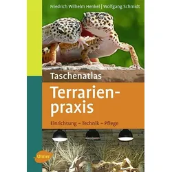 Terrarienpraxis