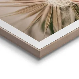 Reinders! Pusteblume beige - BH 40x50 cm