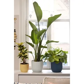 elho Vibes Fold Ø 25 x 23 cm Seidenweiß