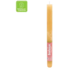Bolsius Rustik Stabkerzen 270 mm gelb 9 St.