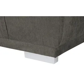 Switch Schlafcouch Flachgewebe 2-Sitzer Grau