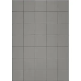Magnetoplan Takkis auf Blisterkarte, 15 x 15 mm 140 Stück