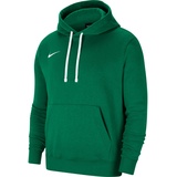 Nike Herren M Nk Flc Park20 Po Hoodie Kapuzenpullover, Pine Green/White/White, S