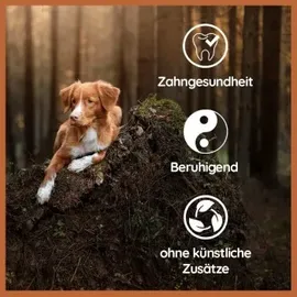 Wildfang Kauspielzeug Welpen Paket XXL