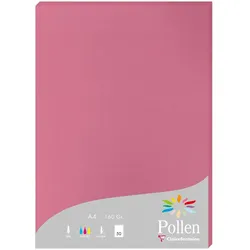 Pollen 10x Papier A4 Pollen 160g 50 Blatt - Hortensienrosa 144281C